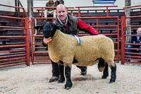 Longtown Ram Fair-28